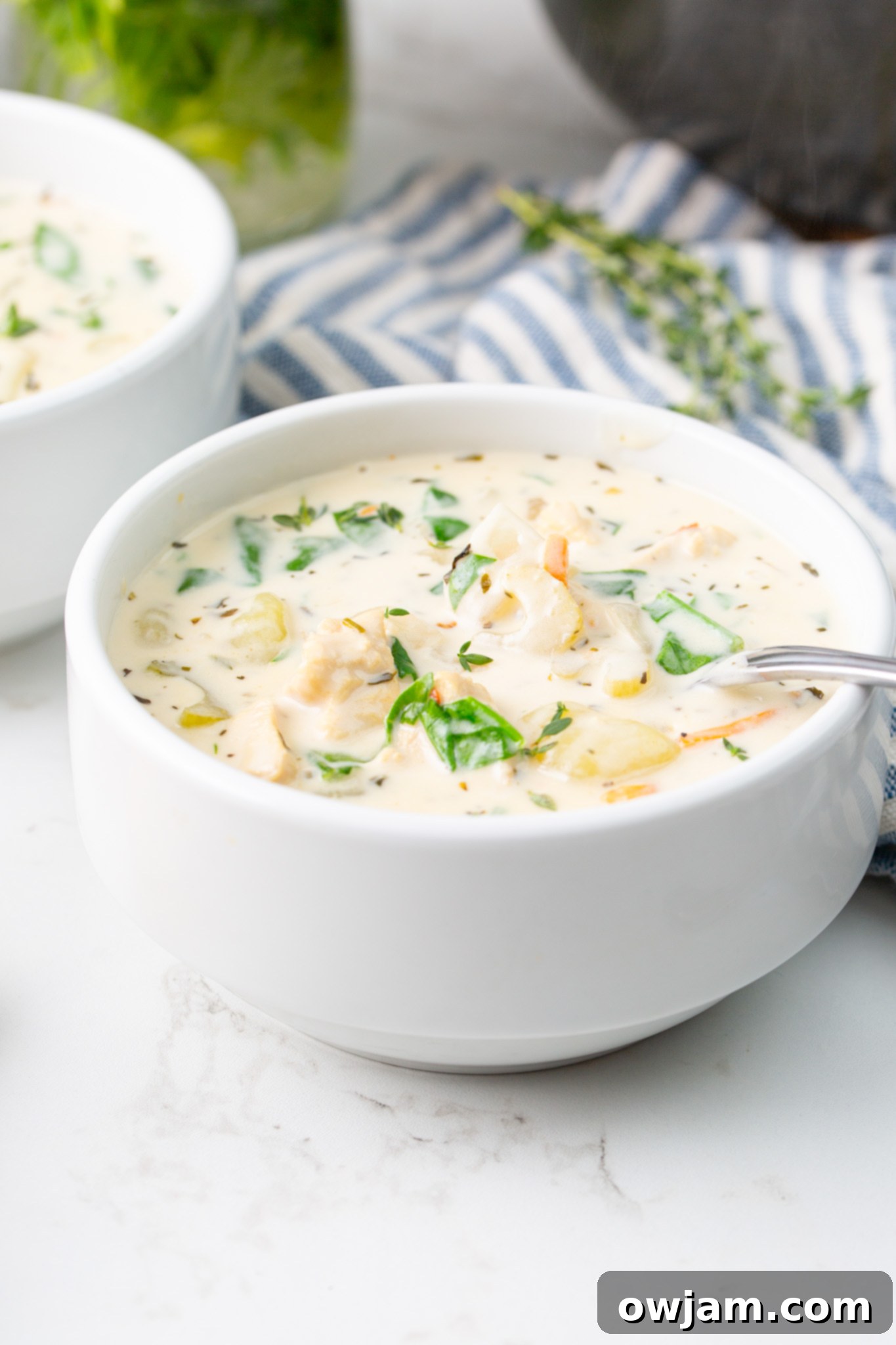 Make Olive Garden Chicken Gnocchi Soup at Home 5 Copycat Olive Garden Chicken Gnocchi Soup Recipe with spoon in a bowl.