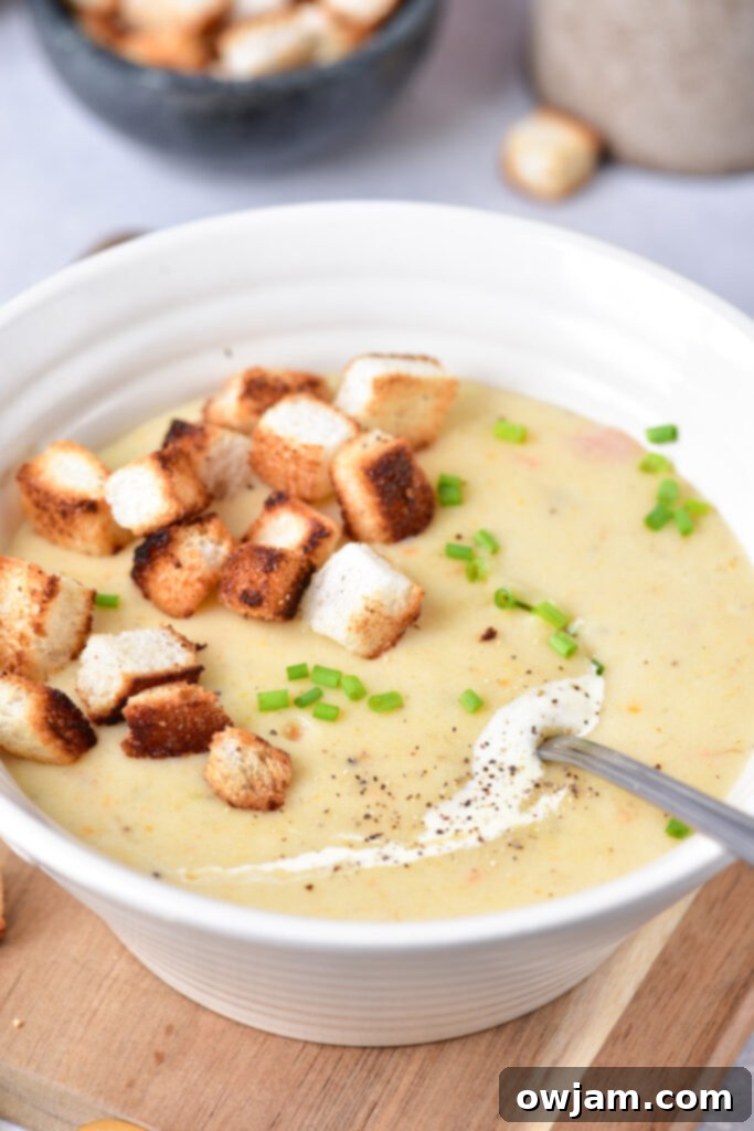 Potato Leek Soup with spoon.