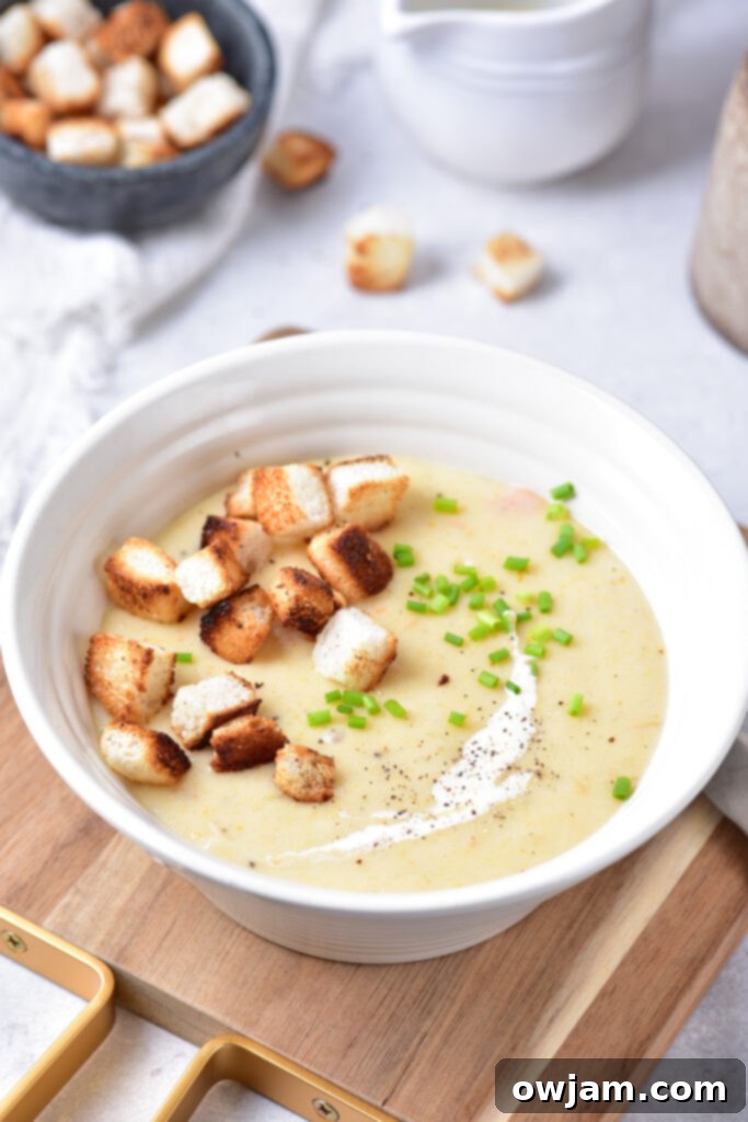 Potato Leek Soup with chives.