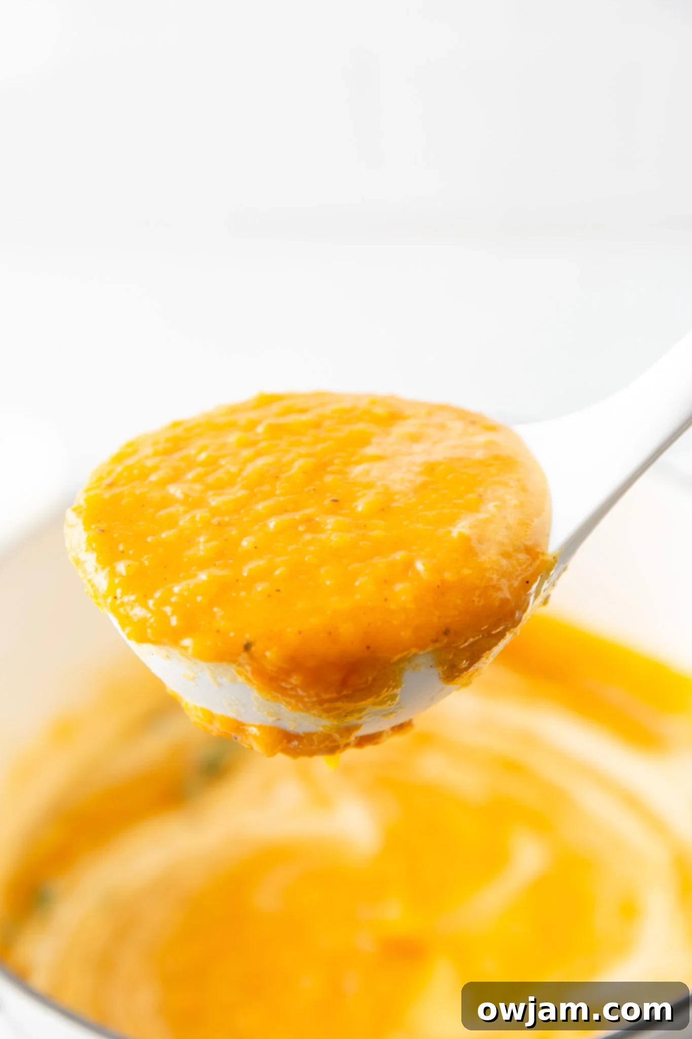 Cozy Roasted Butternut Squash Soup 5 Easy Roasted Butternut Squash Soup on a ladle, showing its smooth texture.
