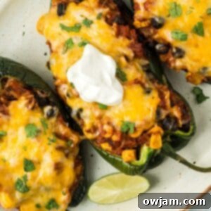 Stuffed Poblano Peppers Recipe image 1200 x 1200