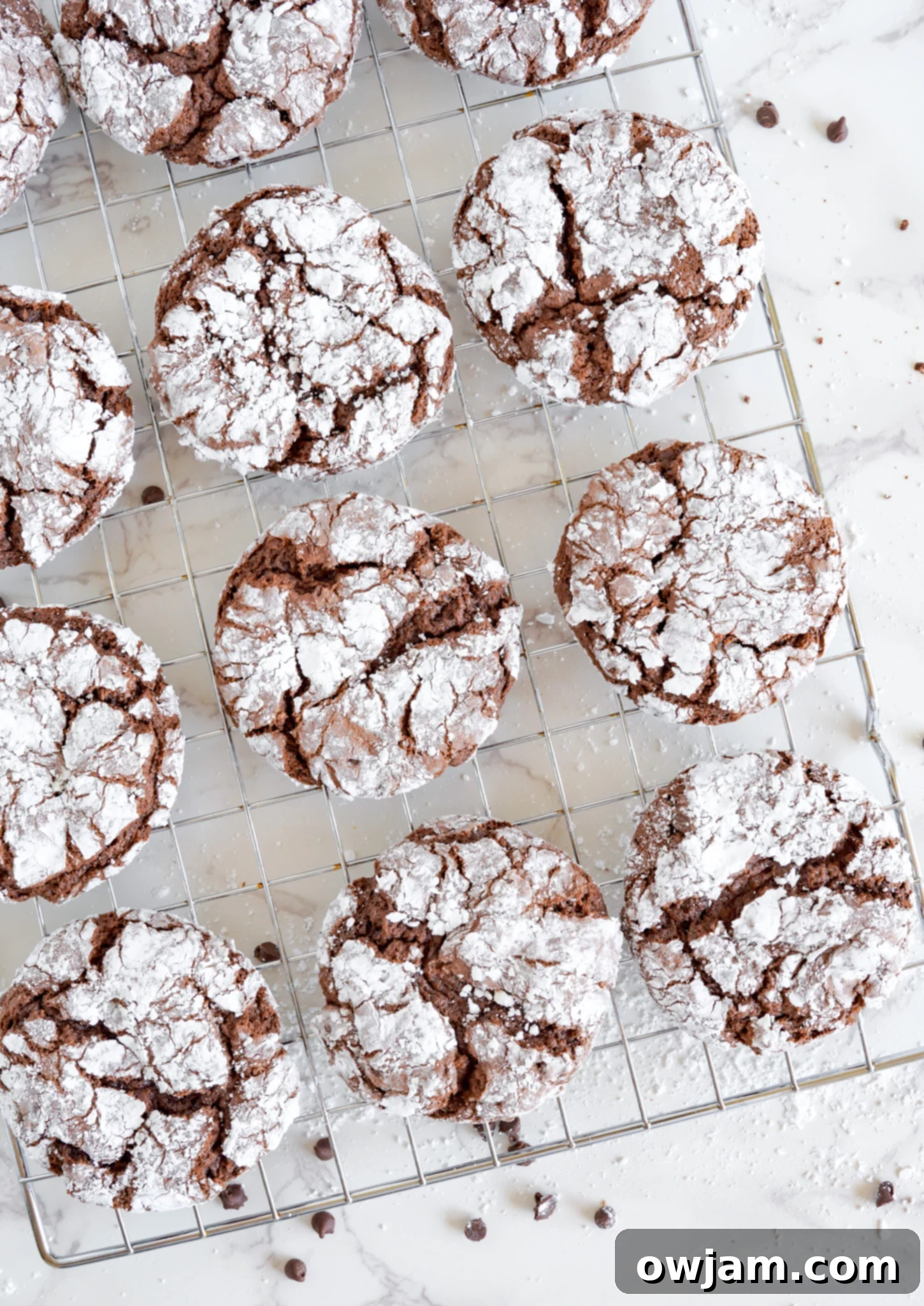 Decadent Chocolate Crinkle Cookies 12 Chocolate Crinkle Cookie Recipe on a baking sheet.