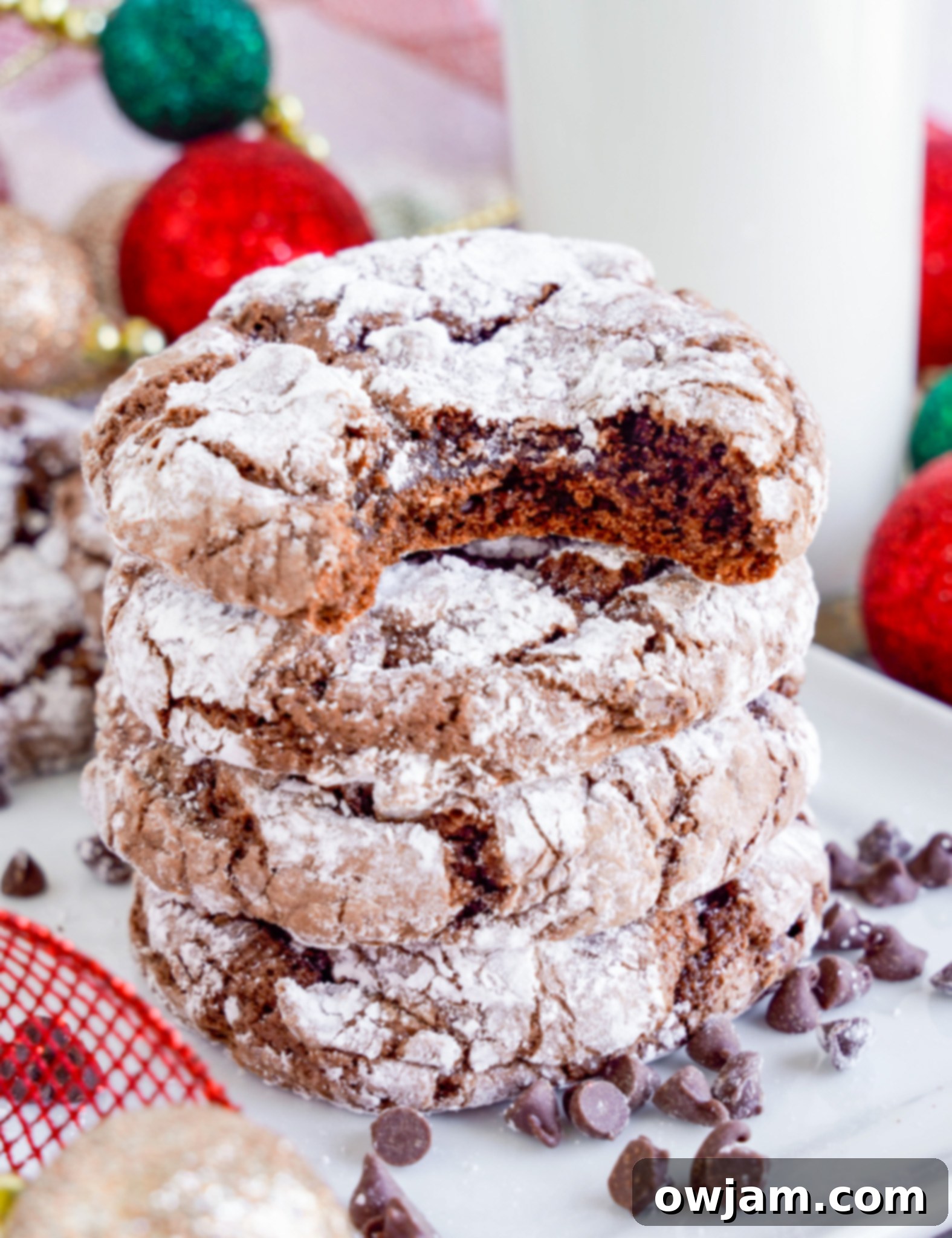 Decadent Chocolate Crinkle Cookies 13 Chocolate Crinkle Cookie Recipe bite in a cookie.
