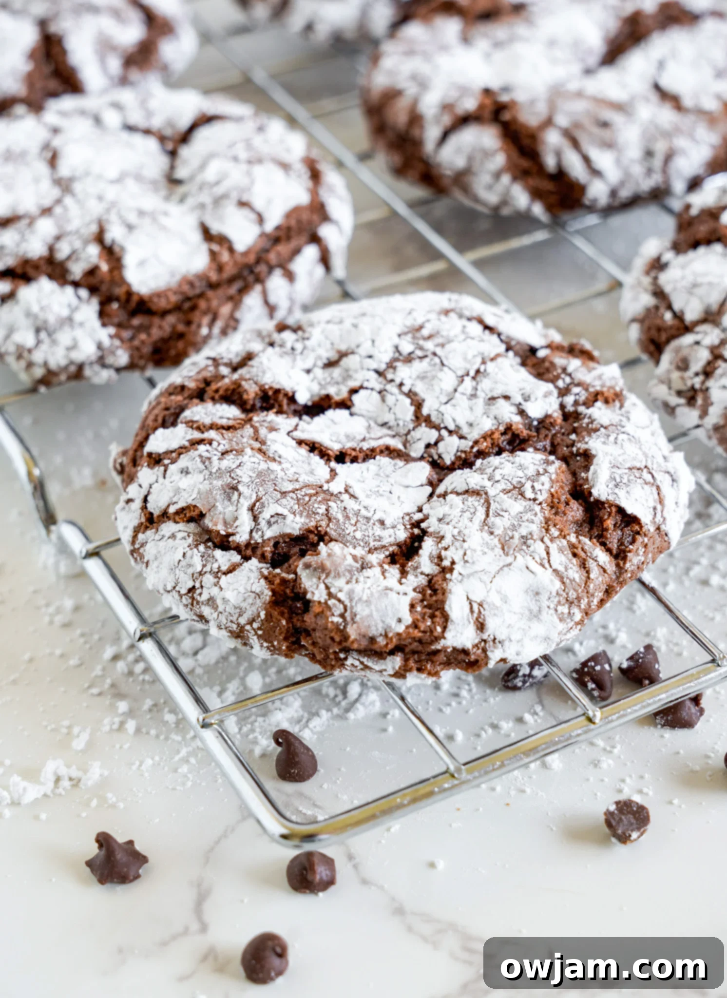 Decadent Chocolate Crinkle Cookies 14 Chocolate Crinkle Cookie Recipe on a cookie rack.
