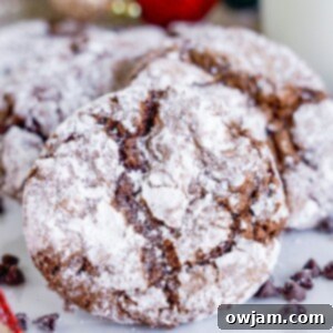 Decadent Chocolate Crinkle Cookies 16 Chocolate Crinkle Cookie Recipe