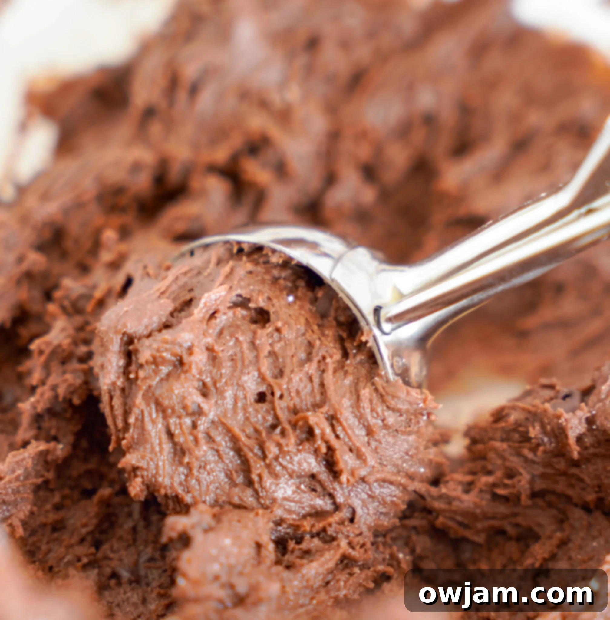 Decadent Chocolate Crinkle Cookies 9 Chocolate Crinkle Cookie Recipe dough in cookie scoop.