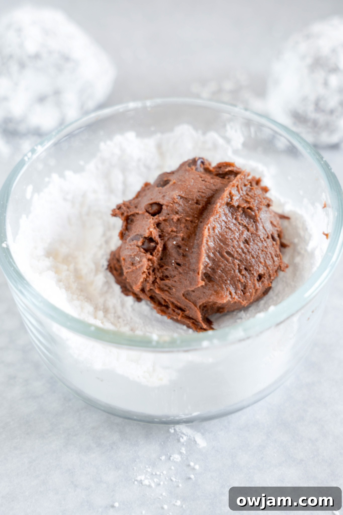 Decadent Chocolate Crinkle Cookies 10 Chocolate Crinkle Cookie Recipe dough in powdered sugar.