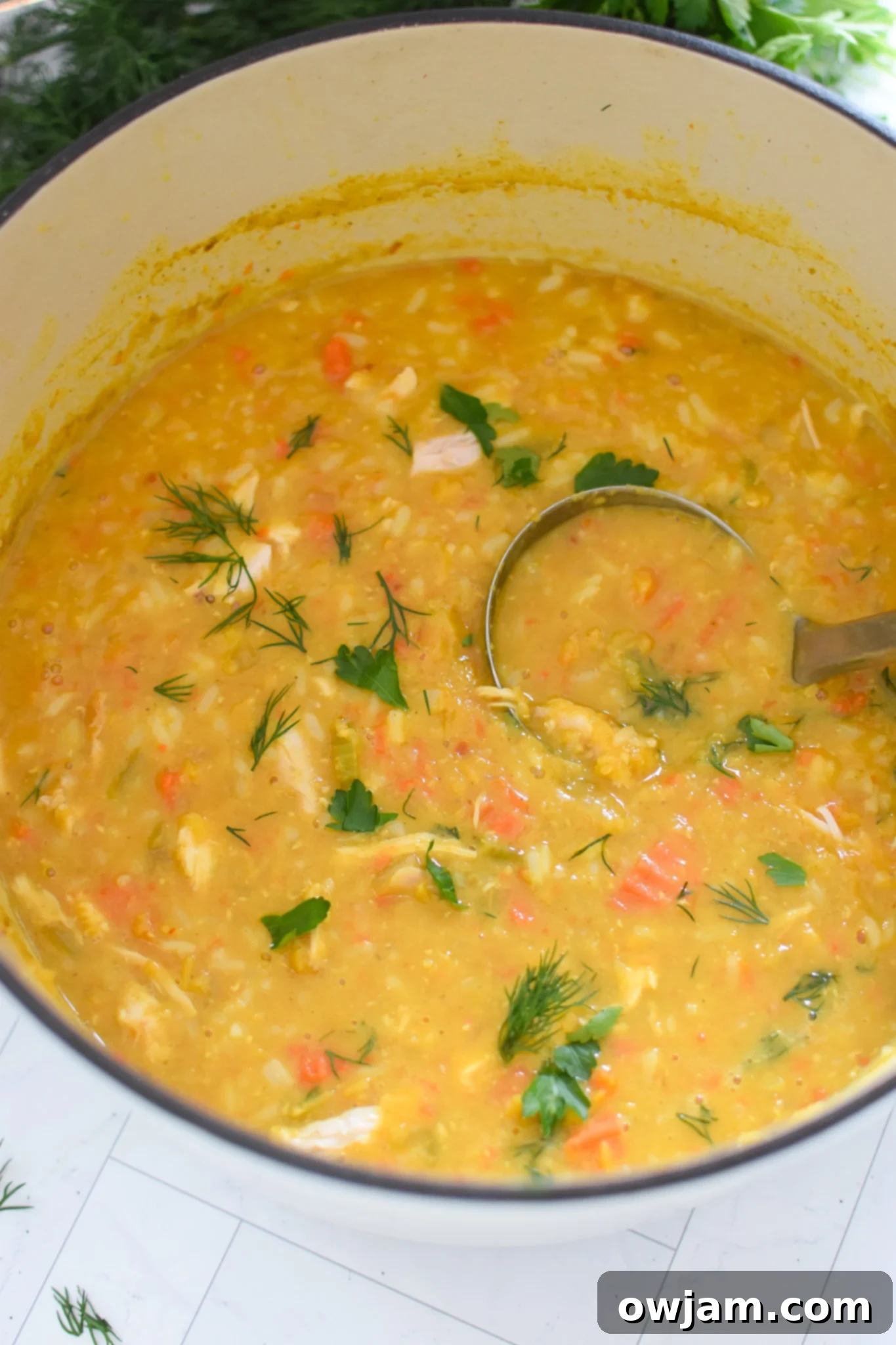 Chicken Lentil Soup Recipe in a dutch oven, ready to serve.