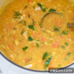 Chicken Lentil Soup Recipe 1200 x 1200