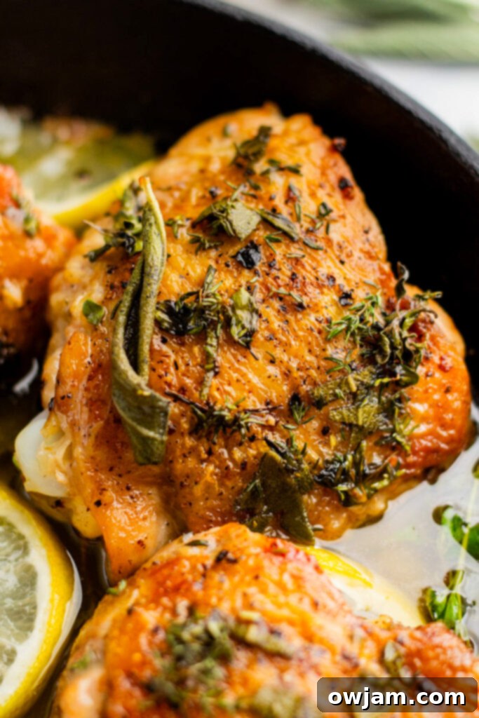 Zesty Lemon Garlic Chicken 11 Lemon Garlic Chicken with fresh herbs.