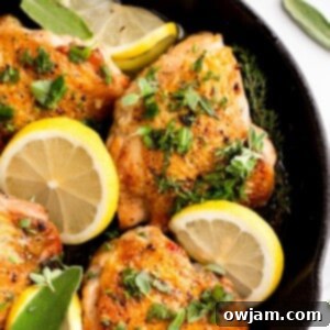 Zesty Lemon Garlic Chicken 13 Lemon Garlic Chicken 1200 x 1200