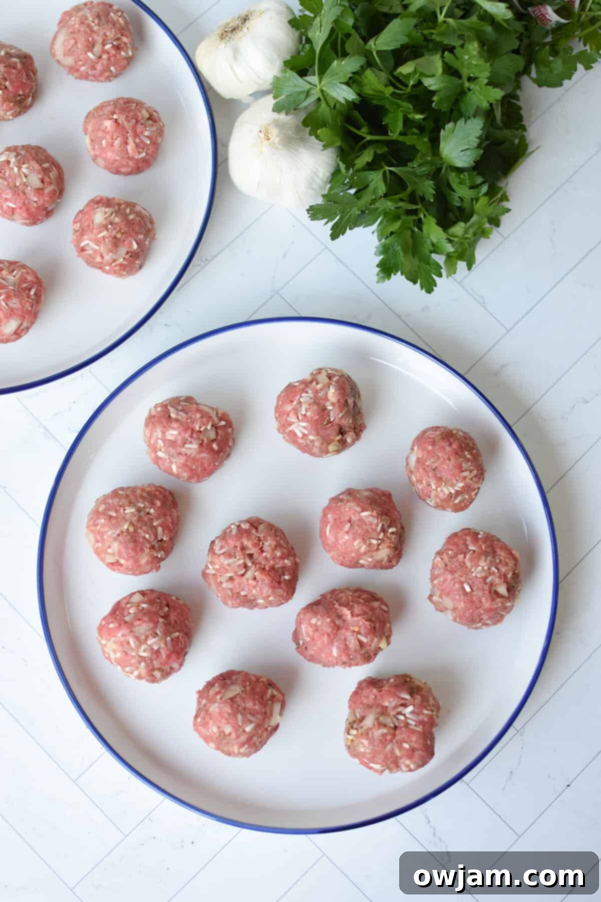 Homestyle Spiked Meatballs 7 Porcupine Meatballs on a plate