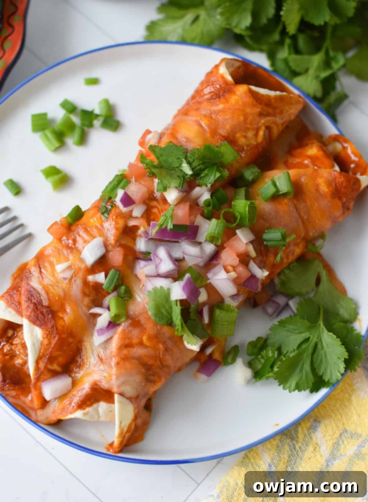 Simple Pork Enchiladas in Minutes 2 Two pork enchiladas on a plate topped with fresh cilantro, diced red onions, and tomatoes, showcasing a delicious homemade meal.