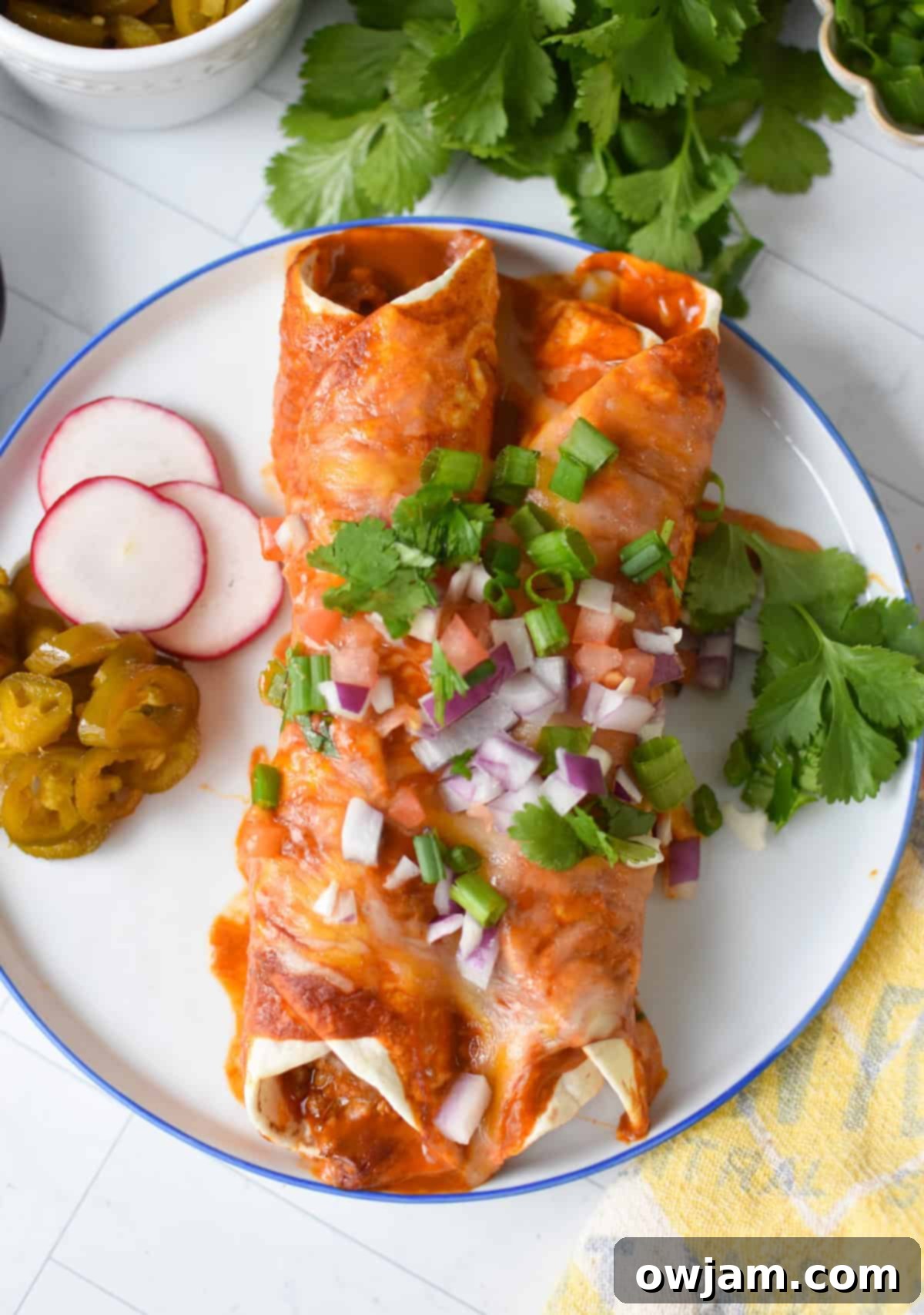 Simple Pork Enchiladas in Minutes 10 Two perfectly plated pork enchiladas, beautifully garnished with fresh cilantro, diced red onions, and a dollop of sour cream, ready to be enjoyed.