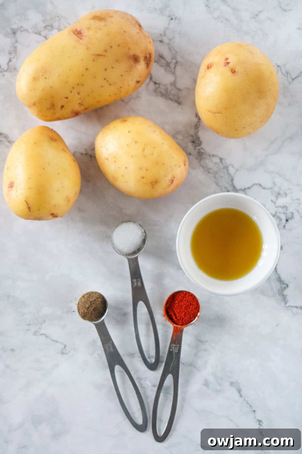 Ultimate Crispy Air Fryer French Fries 4 Air Fryer French Fries Recipe ingredients