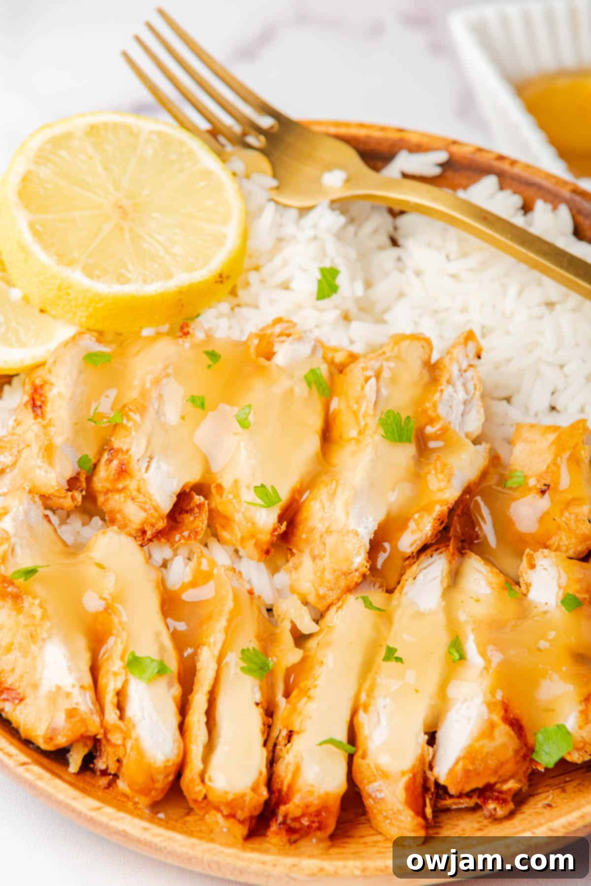 Air Fryer Chicken Breast served over white rice with a fork