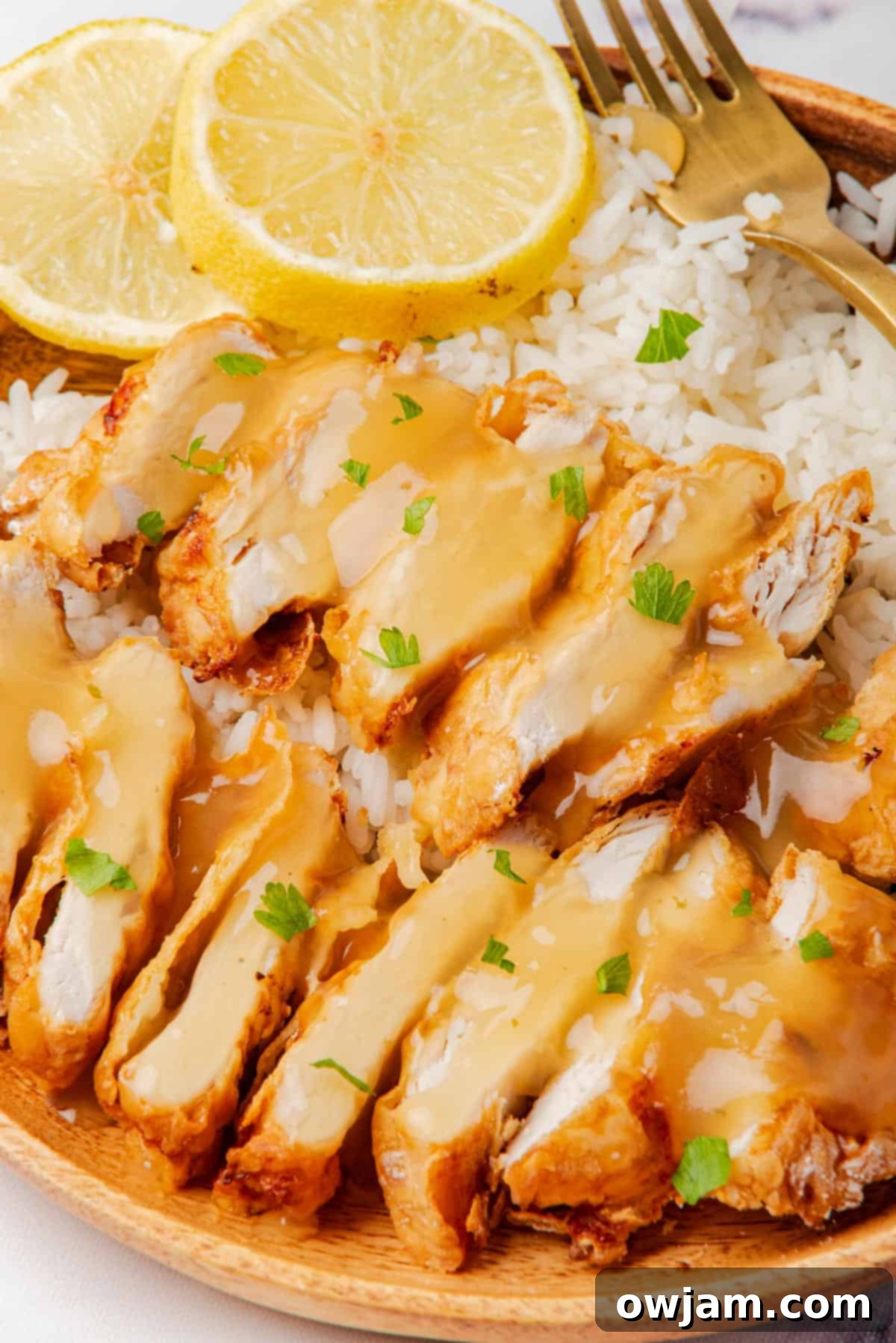 Air Fryer Chicken Breast garnished with fresh parsley 