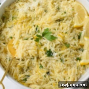 Zesty Lemon Orzo 7 Lemon Orzo Recipe in a white bowl with a gold spoon