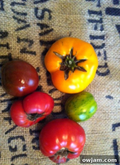 A stunning collection of colorful heirloom tomatoes, ready to be sliced for Caprese