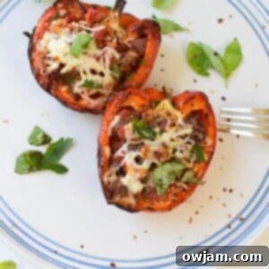 Smoky and Savory Stuffed Peppers 12 Grilled Stuffed Peppers 1200 x 1200