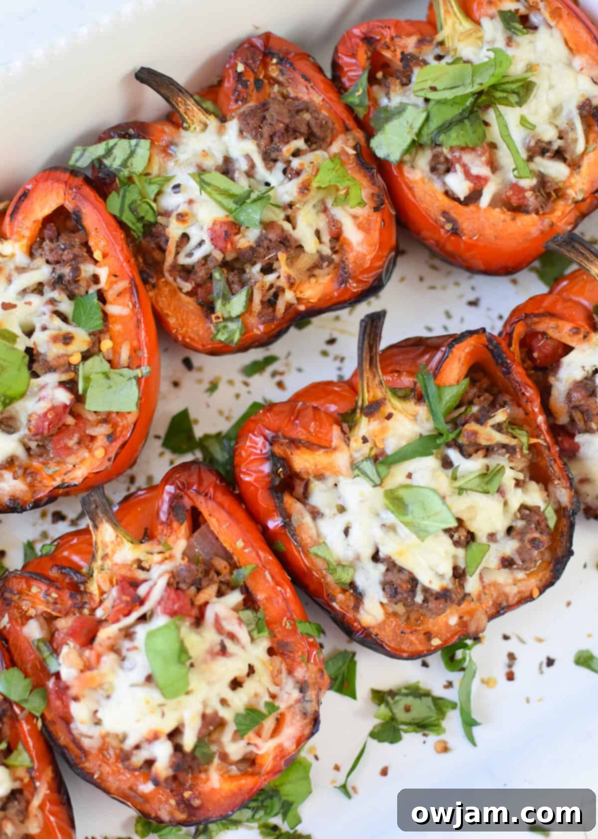 Smoky and Savory Stuffed Peppers 3 Grilled Stuffed Peppers on a white plate