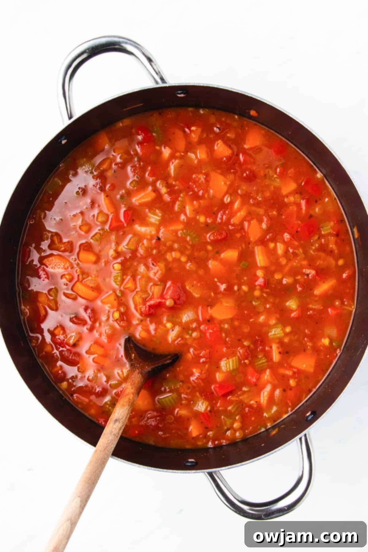 Mexican Lentil Soup 7 A ladle serving Mexican Lentil Soup from a large pot, showing its rich texture.