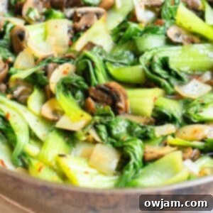 Crisp Garlic Bok Choy Stir Fry 9 Bok Choy Stir Fry image 1200 x 1200