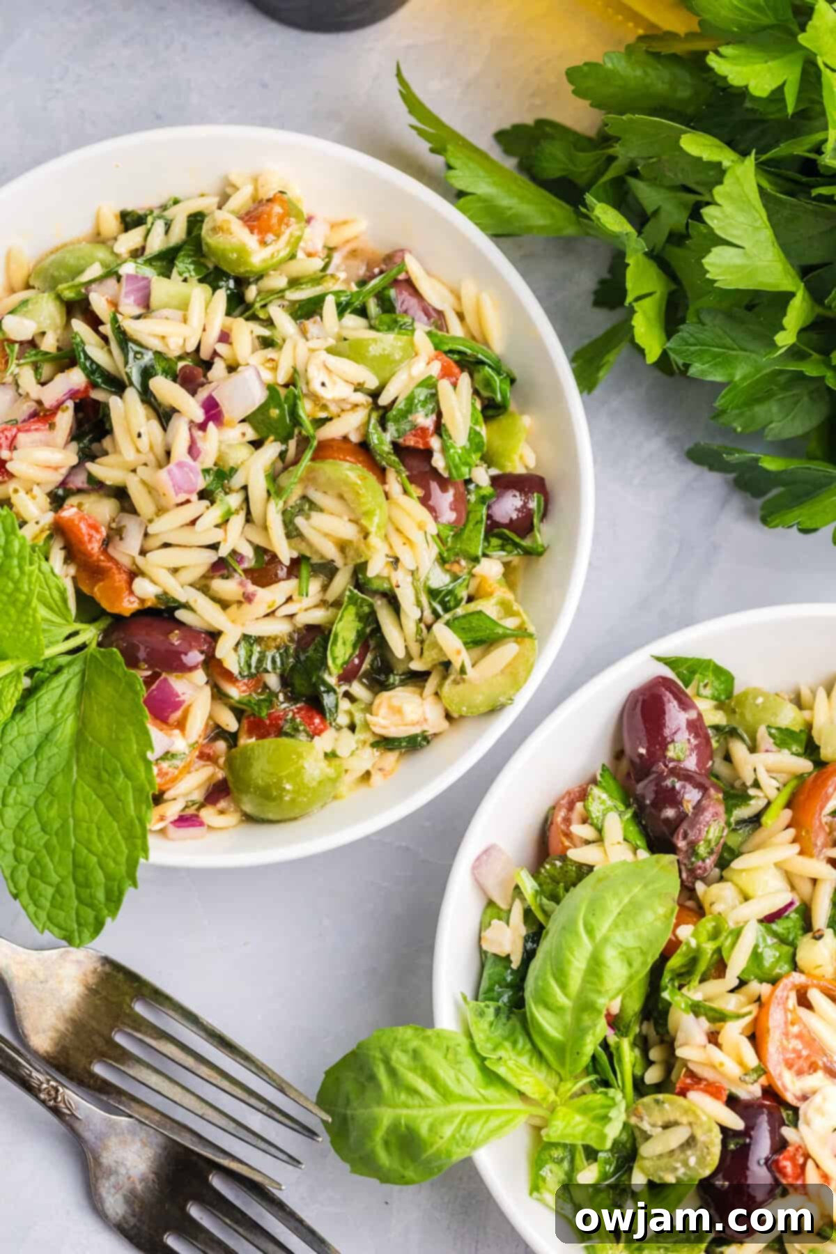 Sun-Kissed Mediterranean Pasta Bowl 4 Two bowls of Mediterranean Pasta Salad, garnished and ready to serve, highlighting the vibrant colors and freshness of the dish.