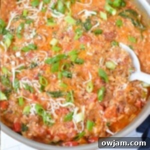 Creamy Cajun Sausage and Rice Skillet 12 Creamy Cajun Sausage Rice Skillet cooked to perfection