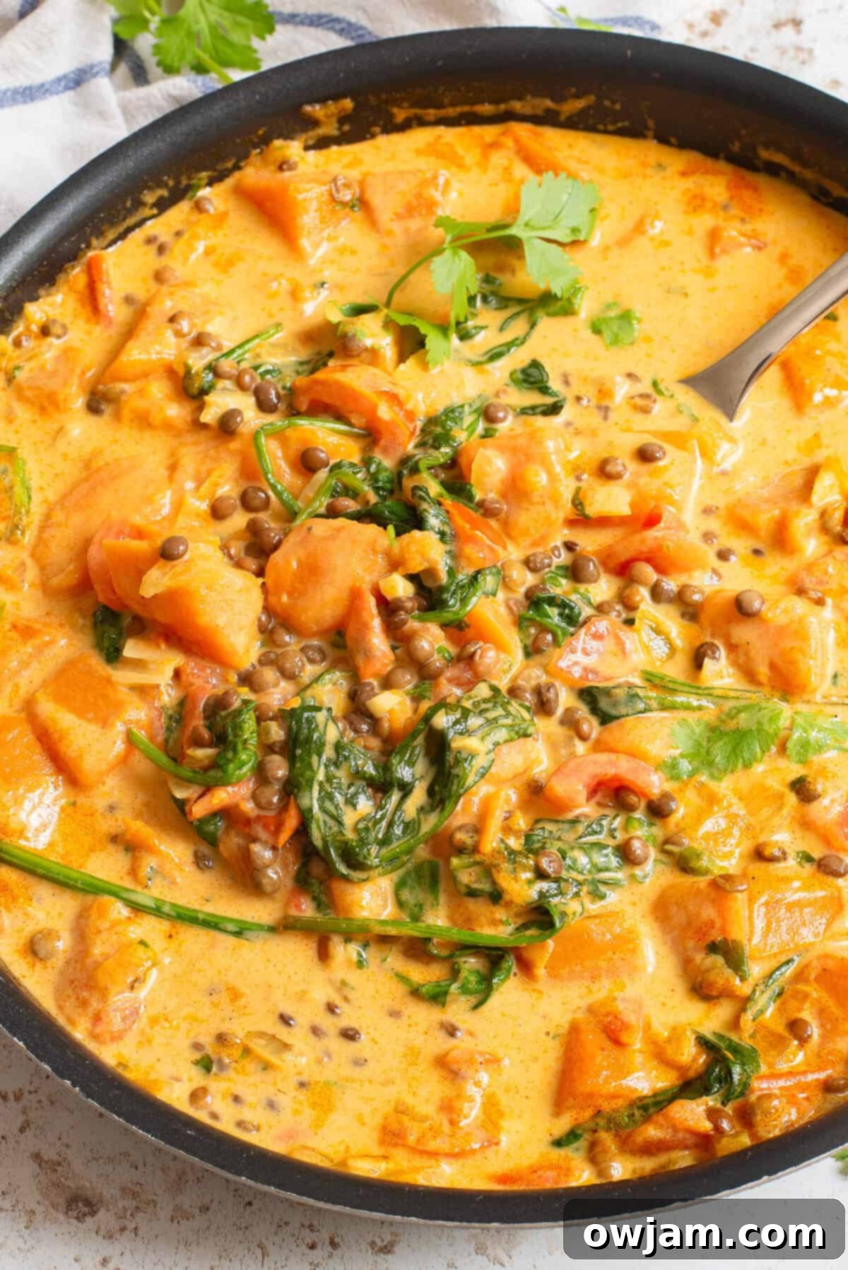 Cozy Sweet Potato Lentil Curry 2 Sweet Potato Lentil Curry simmering in a large skillet, ready to be served.
