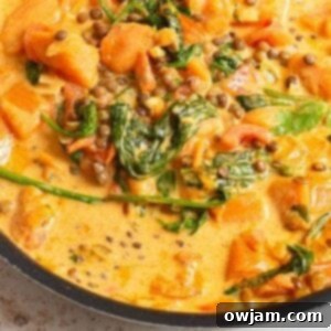 Cozy Sweet Potato Lentil Curry 9 Sweet Potato Lentil Curry in a bowl, garnished with fresh cilantro, ready to be enjoyed.