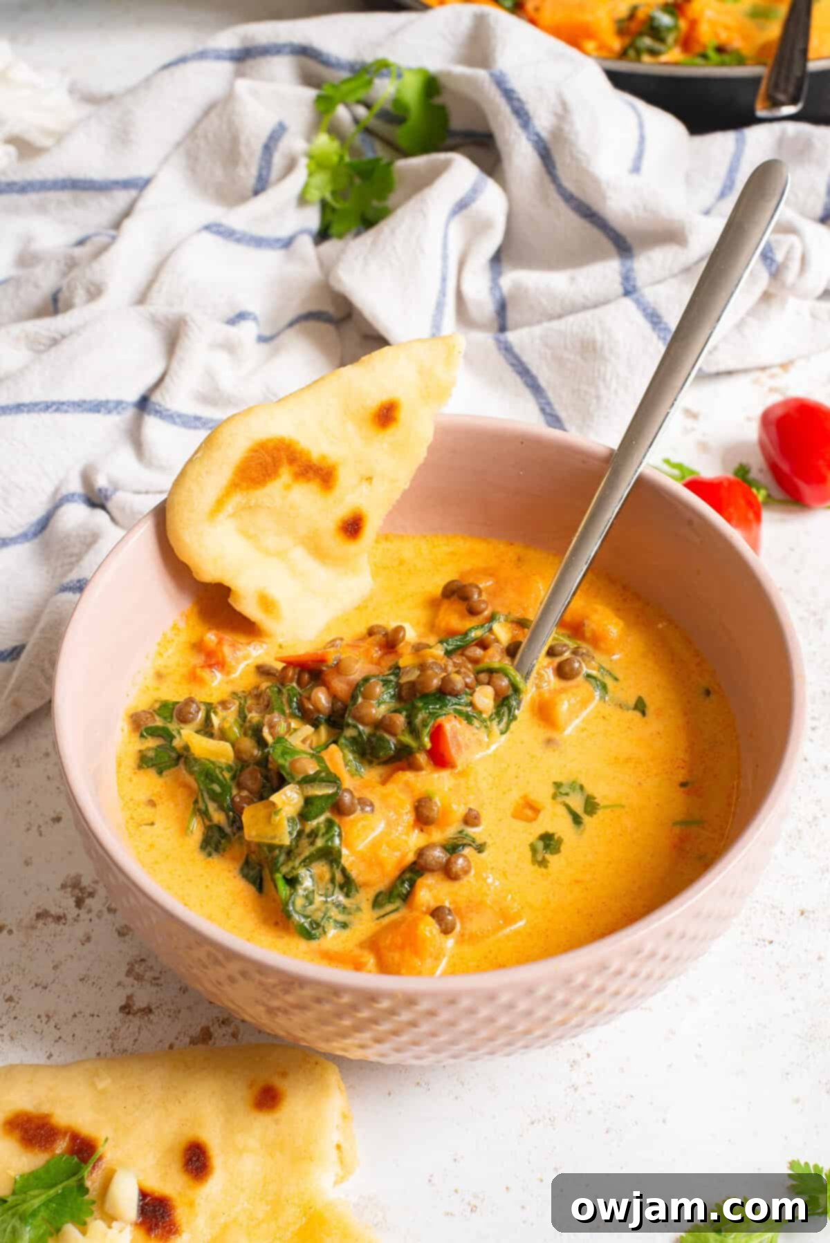 Cozy Sweet Potato Lentil Curry 3 A bowl of Sweet Potato Lentil Curry with a spoon, garnished with fresh cilantro.