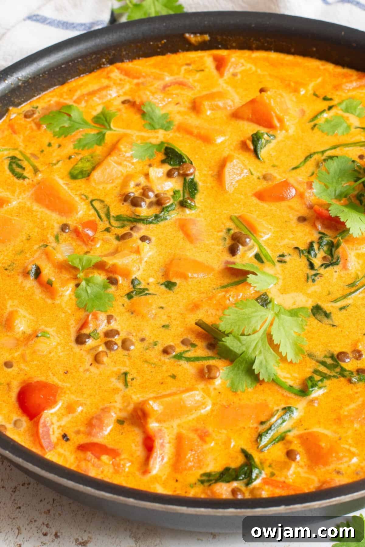 Cozy Sweet Potato Lentil Curry 7 Sweet Potato Lentil Curry simmering in a pot with a lid slightly ajar, steam gently rising.