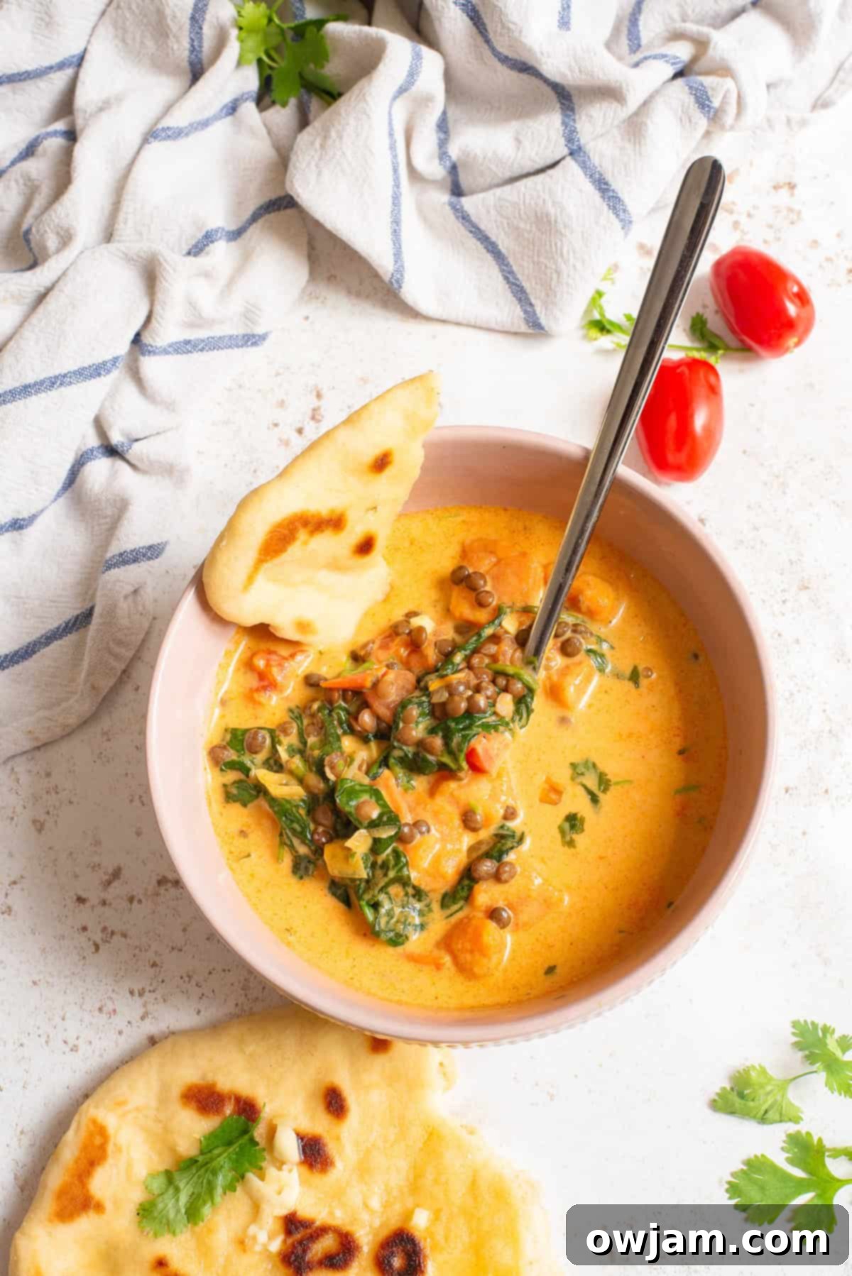 Cozy Sweet Potato Lentil Curry 8 A bowl of Sweet Potato Lentil Curry with a side of warm naan bread, garnished with fresh cilantro.