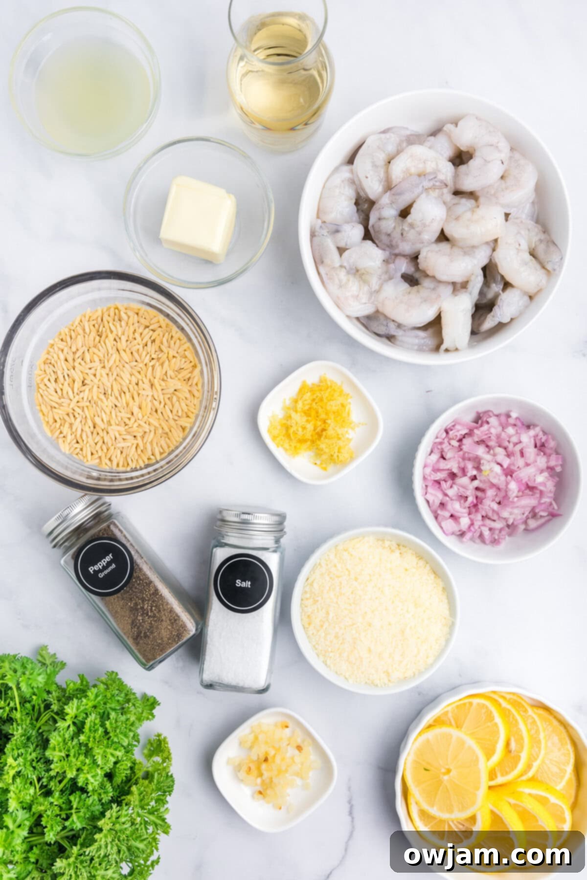 Zesty Lemon Shrimp with Orzo 4 Fresh ingredients for Lemon Shrimp and Orzo: raw shrimp, orzo, lemons, garlic, shallots, butter, and white wine
