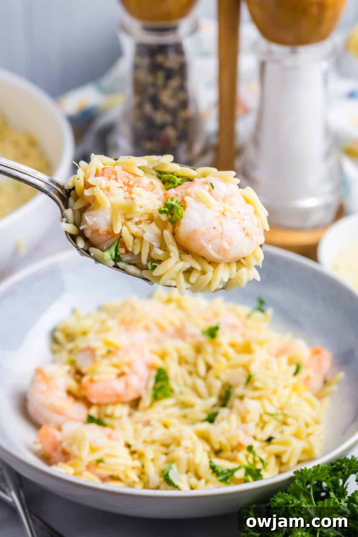 Zesty Lemon Shrimp with Orzo 9 A spoonful of Lemon Shrimp and Orzo pasta, highlighting the plump shrimp and delicate orzo, ready to enjoy