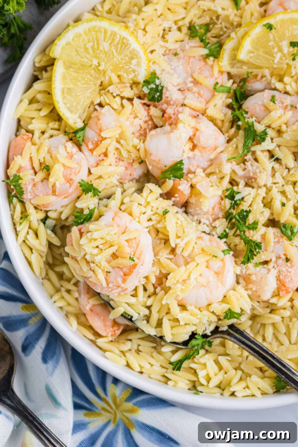 Zesty Lemon Shrimp with Orzo 10 Lemon Shrimp and Orzo pasta served elegantly in a white bowl, garnished with fresh herbs