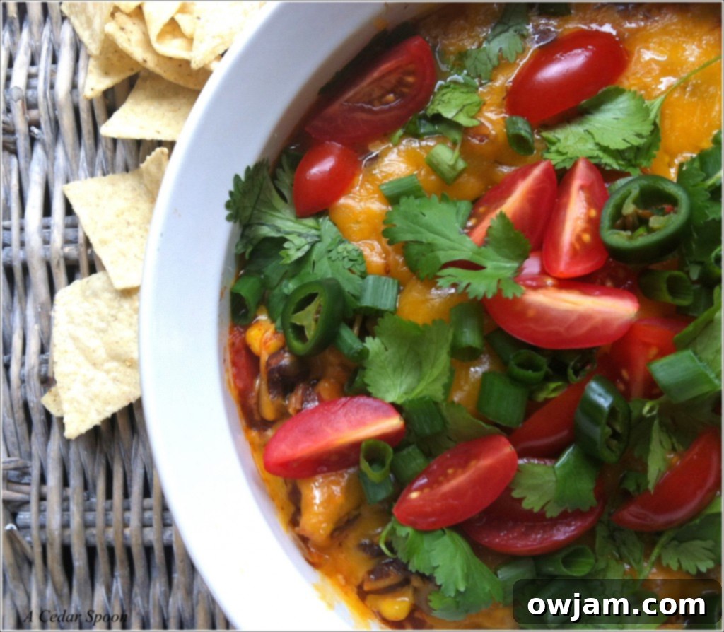 Delicious and healthy Black Bean Dip - appetizer ready to serve