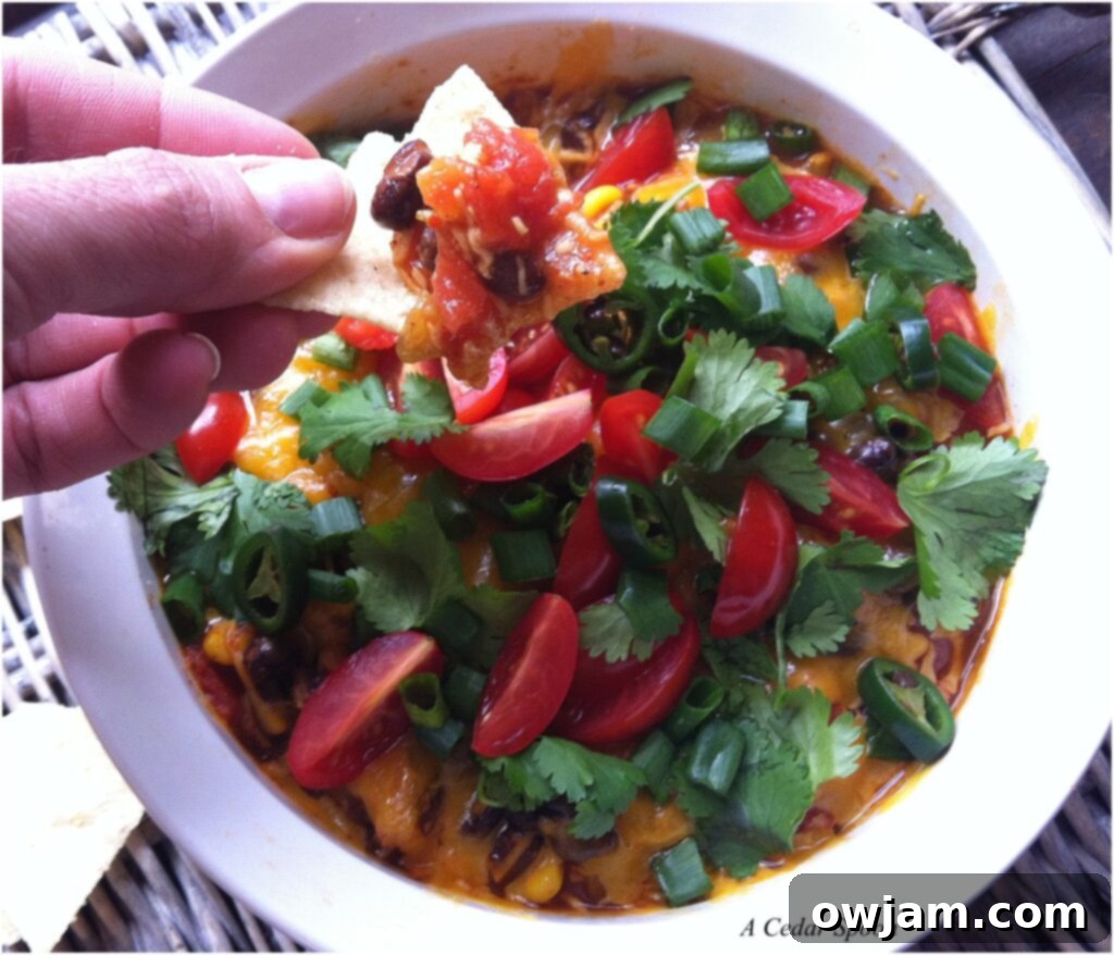 Close-up of delicious Black Bean Dip, perfect for scooping