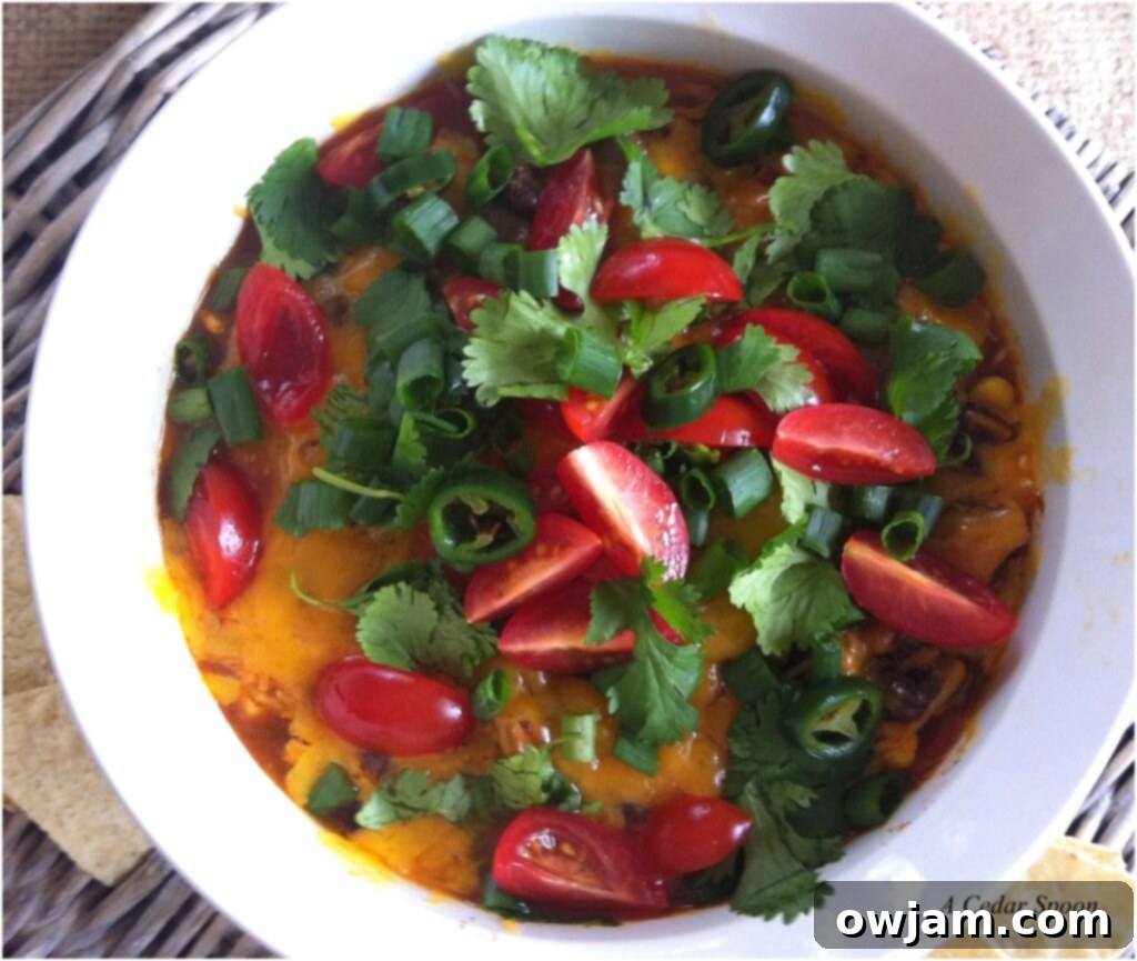 Baked Black Bean Dip in a bowl, ready to be enjoyed
