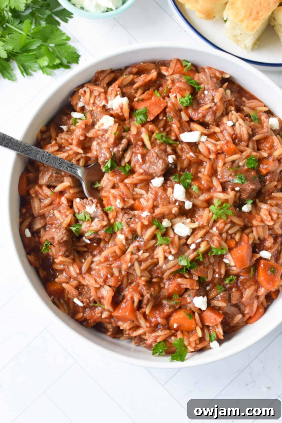 Greek Beef Stew with Orzo with spoon 