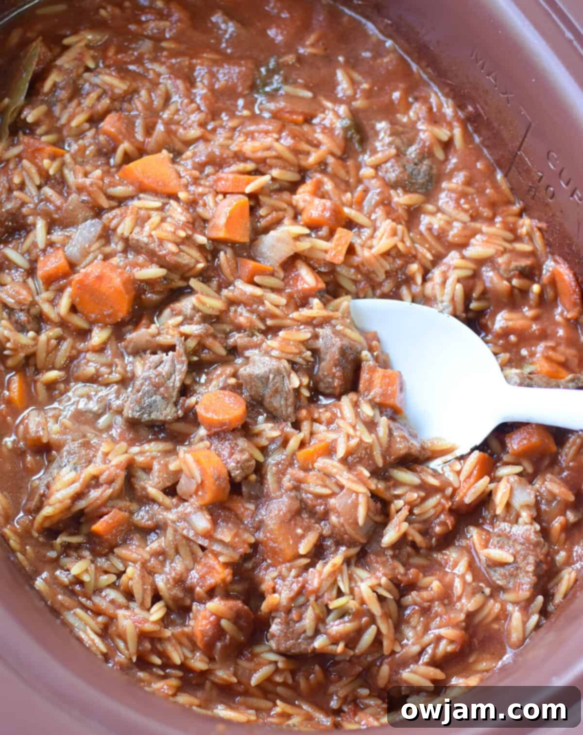 Greek Beef Stew with Orzo in crockpot 