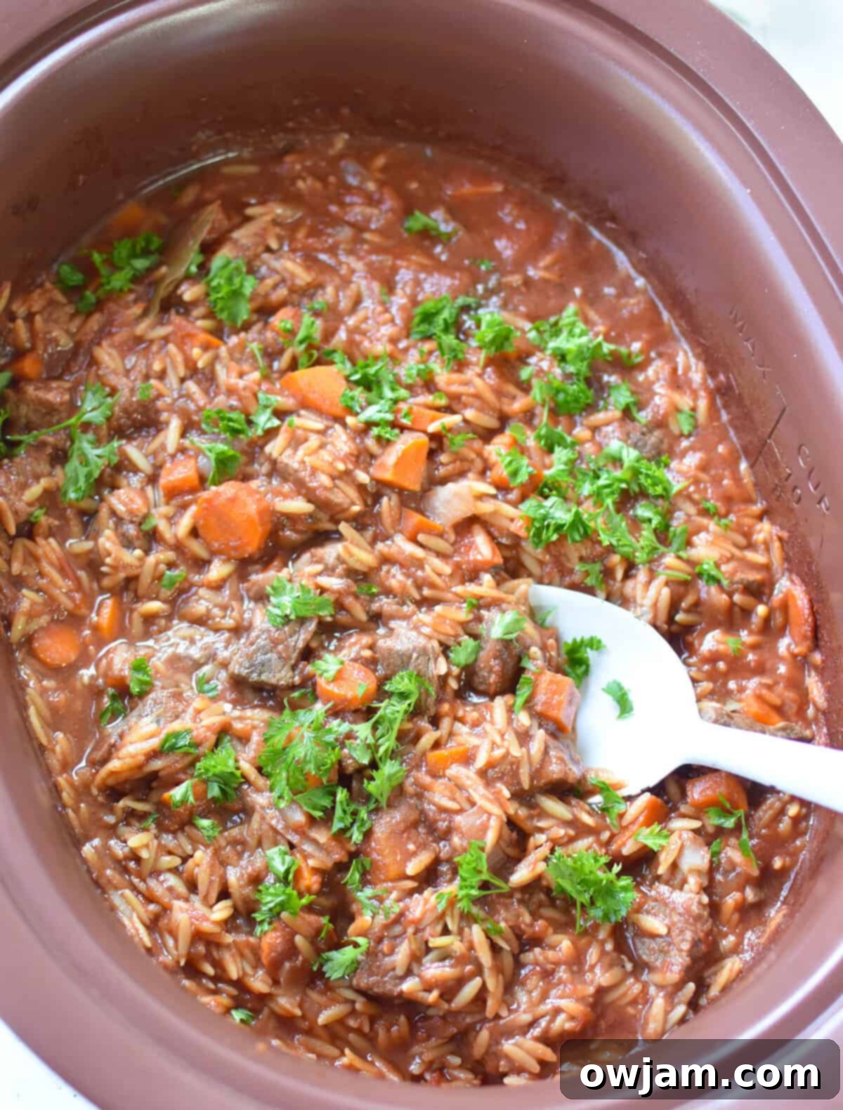 Greek Beef Stew with Orzo in a crockpot 