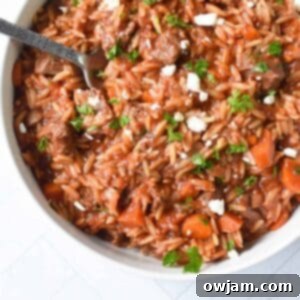 Greek Beef Stew with Orzo 1200x1200