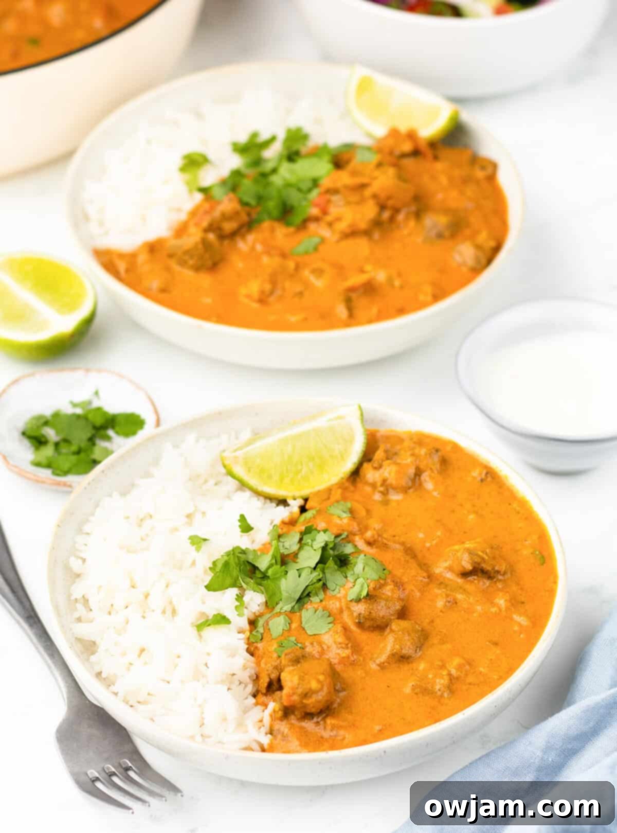 Succulent Lamb Curry Made Simple 11 Easy Lamb Curry Recipe two bowls
