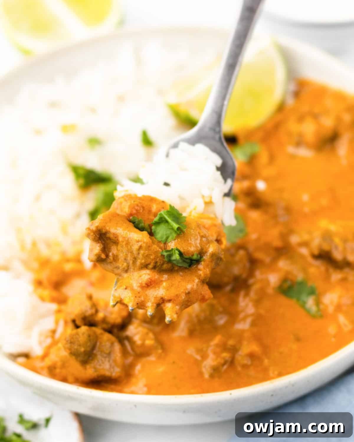 Succulent Lamb Curry Made Simple 5 Easy Lamb Curry Recipe with spoon