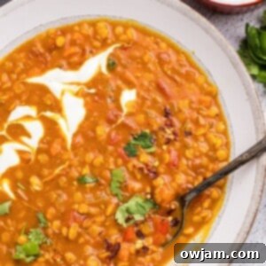 Simple Satisfying Red Lentil Dahl 12 Easy Red Lentil Dahl Recipe with spoon in a bowl