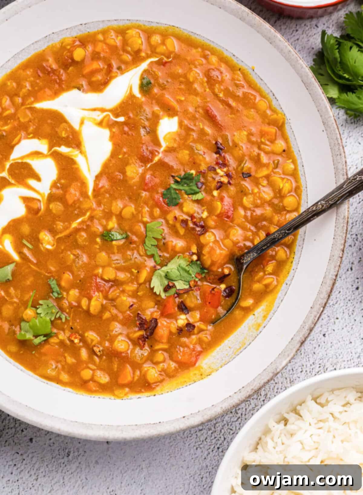 Simple Satisfying Red Lentil Dahl 3 Close-up of a serving of Easy Red Lentil Dahl in a white bowl with a spoon, showing creamy texture and cilantro garnish