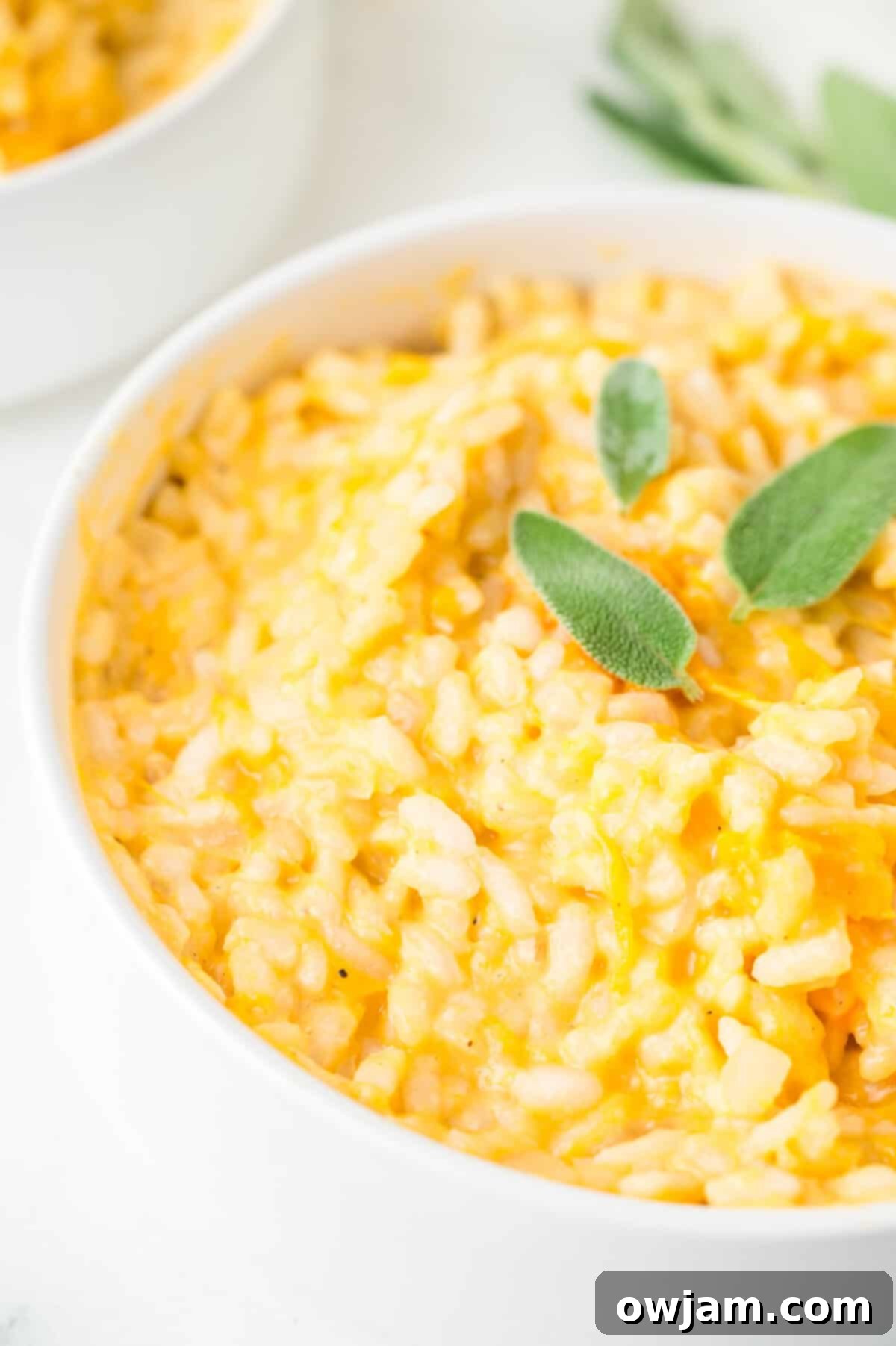 Butternut Squash Sage Risotto in white bowl 