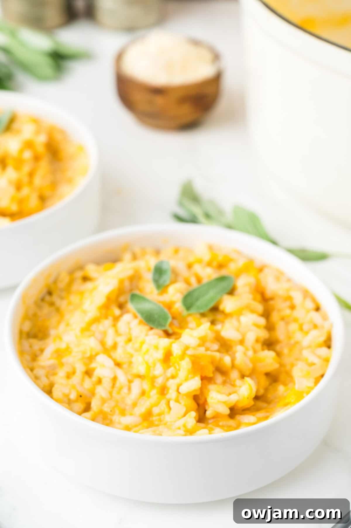 Butternut Squash Sage Risotto with fresh sage